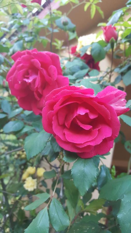 우스키오 Rifugio Valentina 빌라 외부 사진